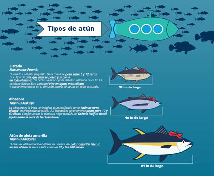 Información sobre los productos del mar
