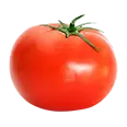 Tomate